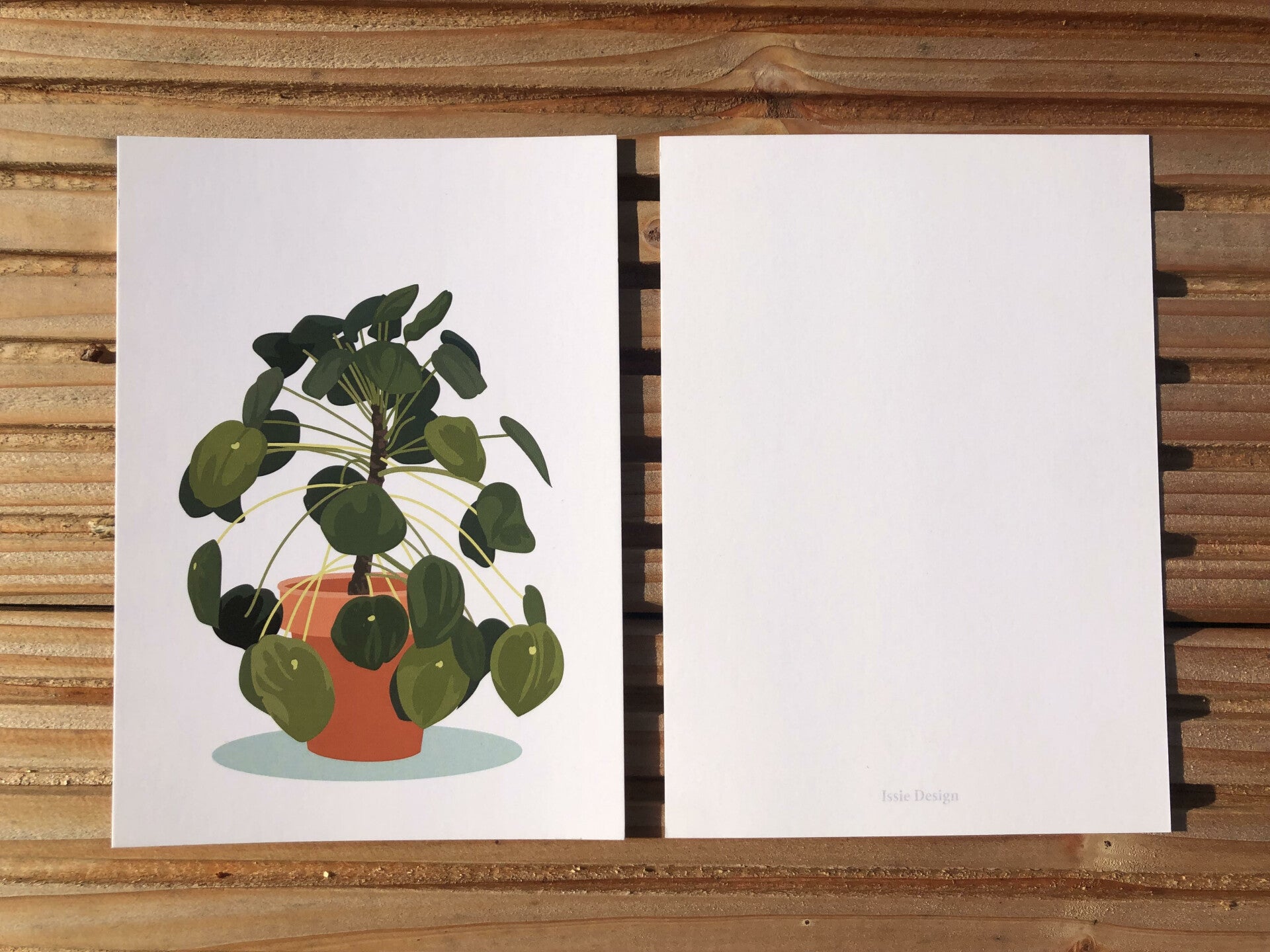 Kaart | Pannekoekenplant