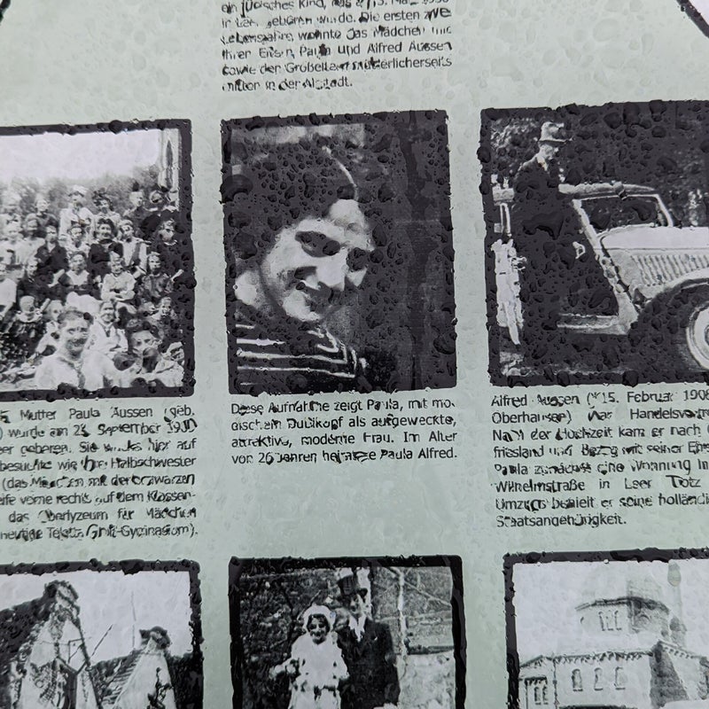 pxl_20230802_114134279-standard.jpg