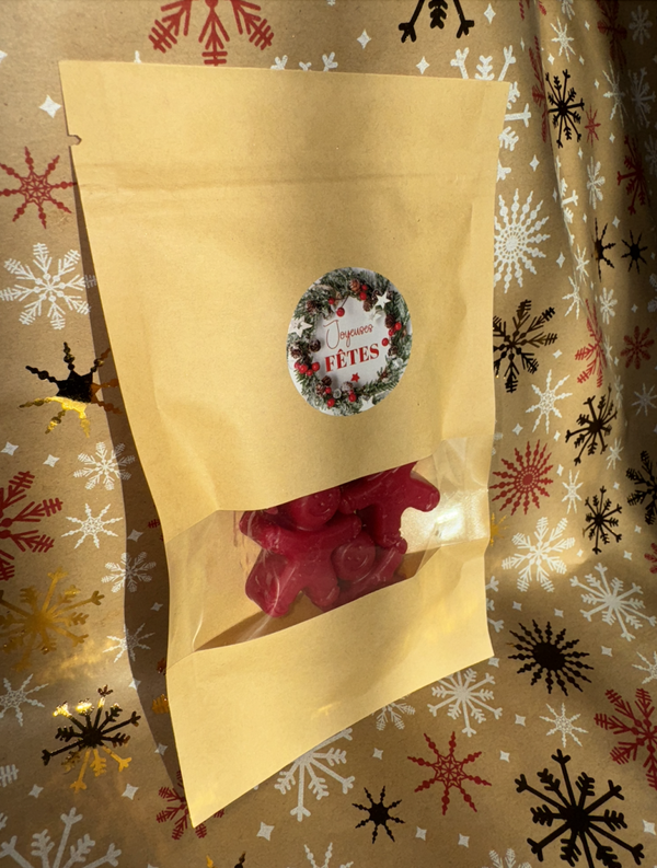 Sachet NOEL 45g