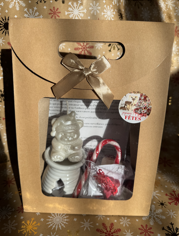 Coffret Ourson de Noel