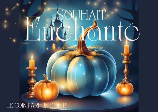 Fondants parfumés Souhait enchanté ( Sachet de 4)