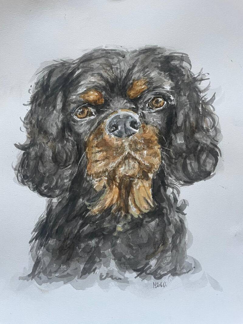 Aquarelportret dier