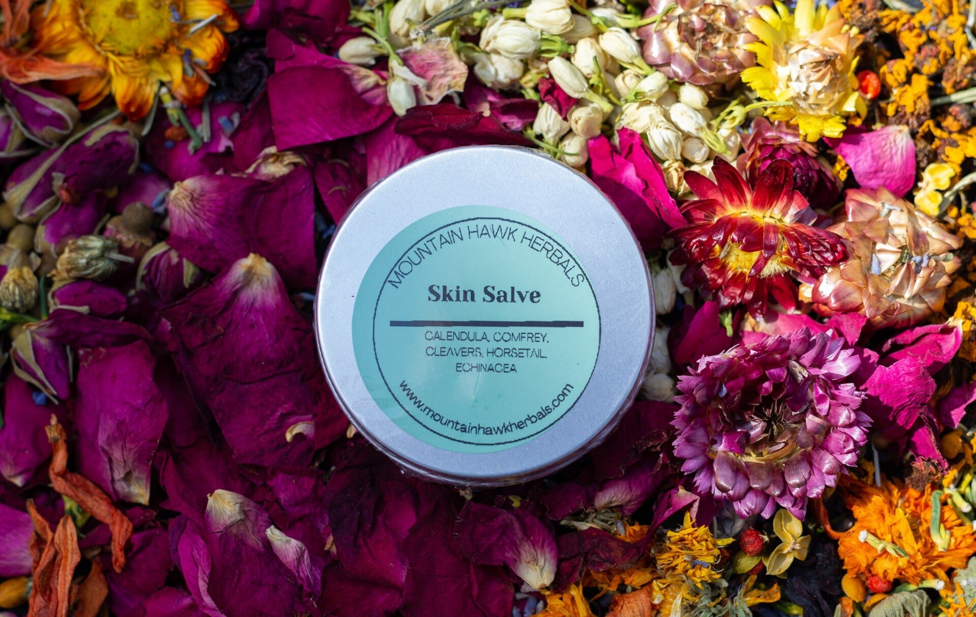 Skin Salve 2 oz.