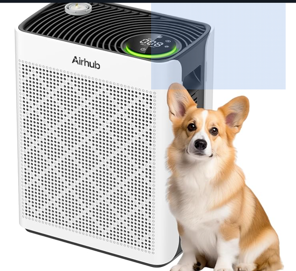 Air Purifiers for Home Large Room,