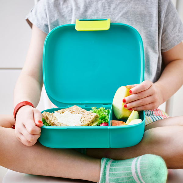 1 2 3  eco  lunchbox
