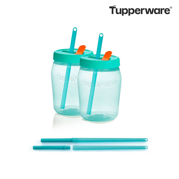 Set universal jars 550 ml met 2 eco rietjes