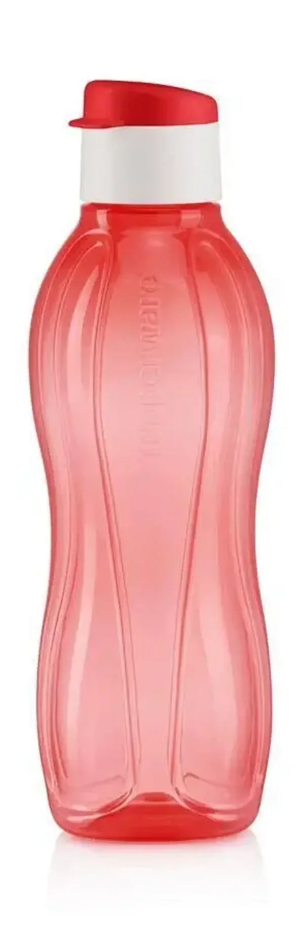 Eco fles 750 ml      11168955