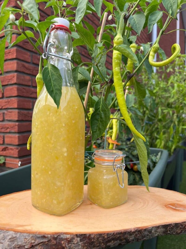 Matchili Special Edition 100 ml