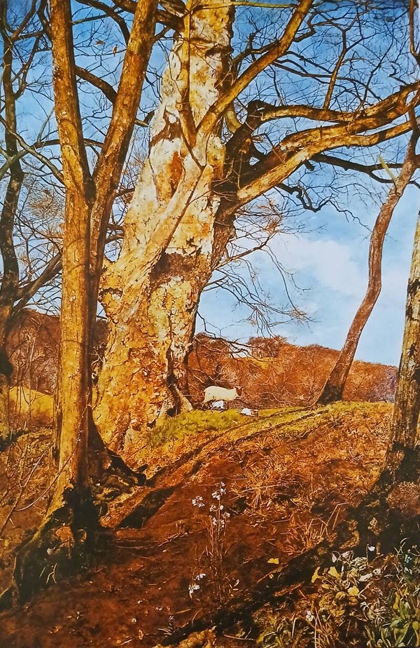 Artist: 'JOHN WILLIAM INCHBOLD' Dated: 1855