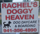 Rachels doggy heaven