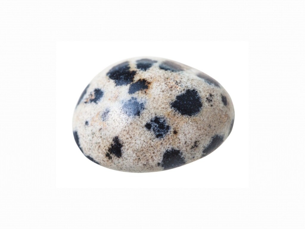 Jaspis Dalmatiër - Steen Getrommeld