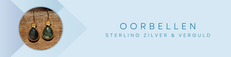 oorbellen goud edelsteen
