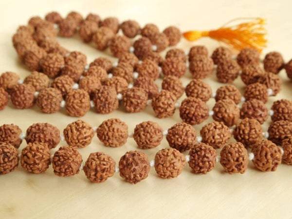 Mala Rudraksha (5 Mukhi)