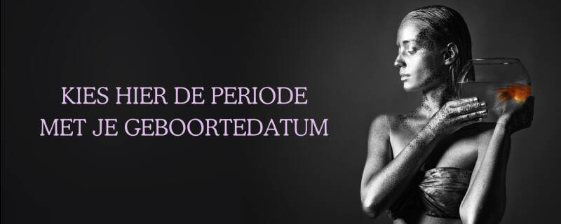 geboortedatum invullen