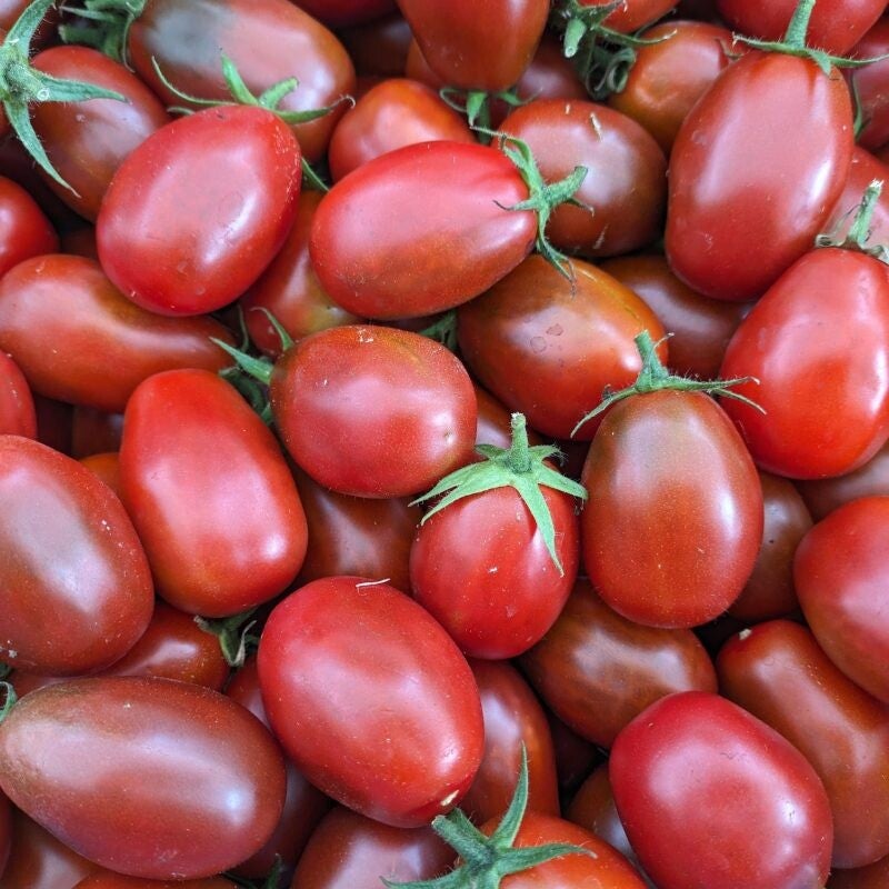 Tomato, Black Plum