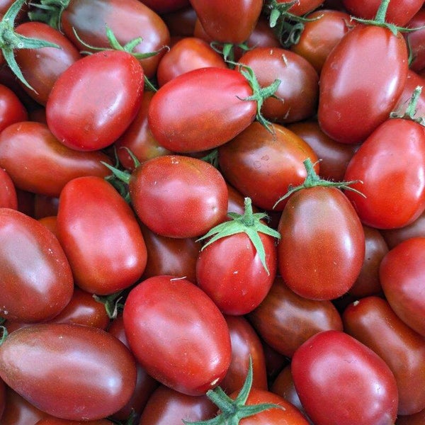 Tomato, Black Plum