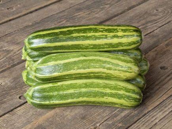 Courgette - Malachita
