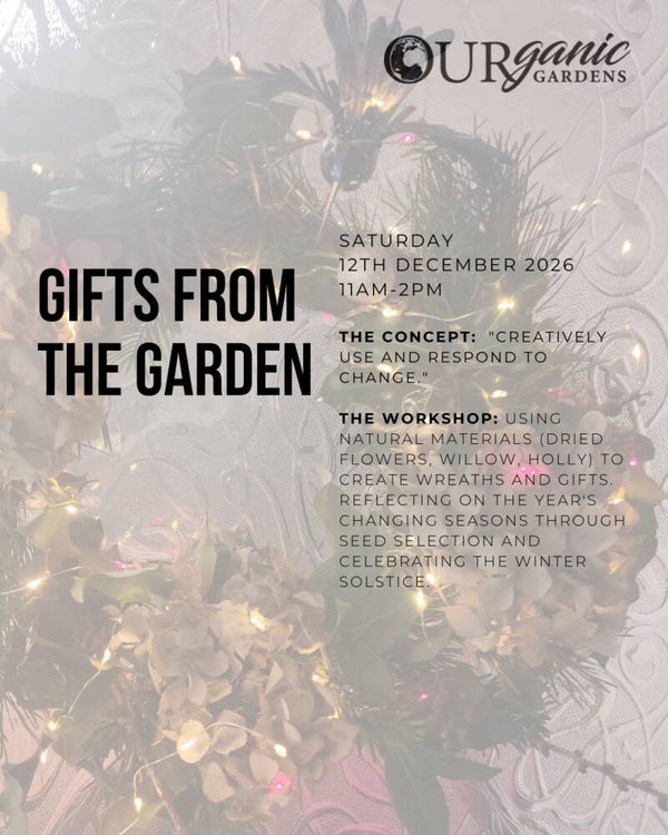 DECEMBER Monthly Workshop Saturday 12th December - 11am-2pm