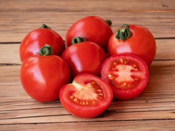 Tomato KS-TOT-CM-ZD28