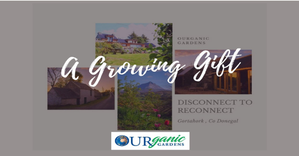 €50 Gift Voucher
