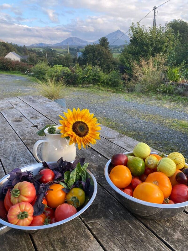 SEPTEMBER Monthly Workshop Saturday 26th September - 11am-2pm