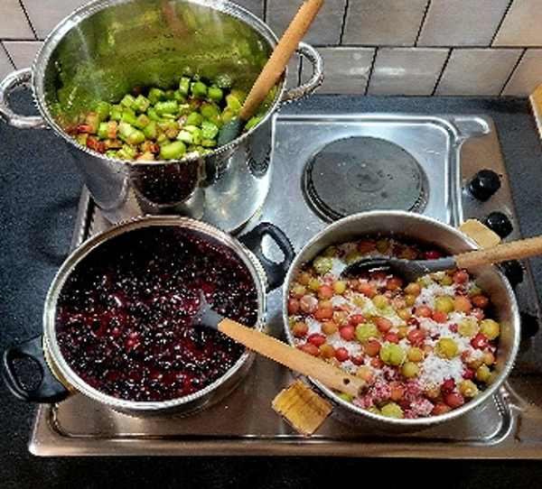 Preserving the Harvest - Jams and Syrups - Saturday 3rd October