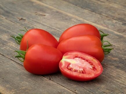 Tomato Rio Grande