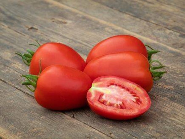 Tomato Rio Grande