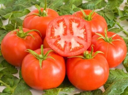 Tomato Saint-Pierre