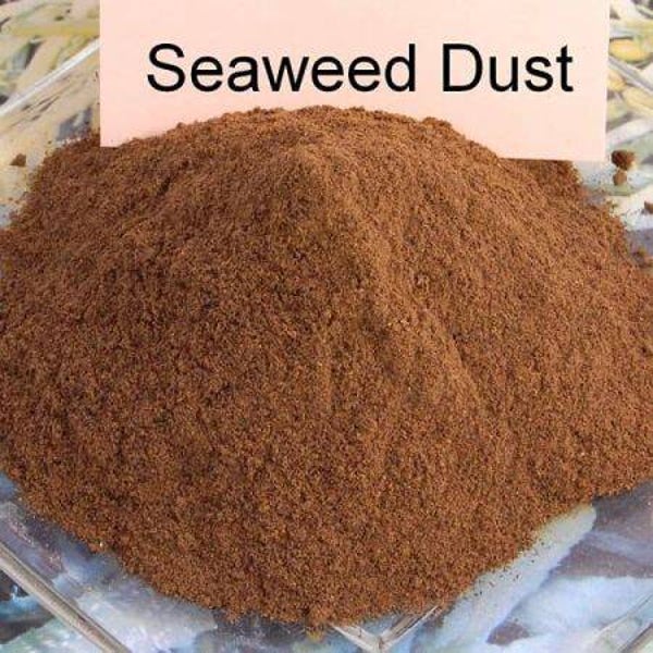 500g Health-Sea Seaweed Dust