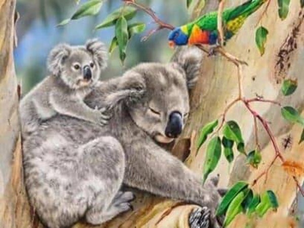 2 koala's , vogel in de boom - Diamond Painting