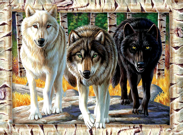 3 wolven - Diamond Painting 