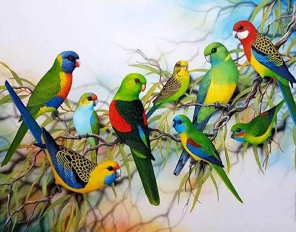 9 rosella's - Diamond Painting