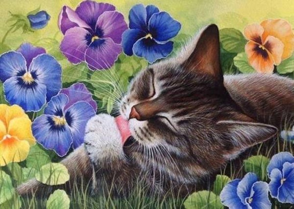 Wassende kat - Diamond Painting 