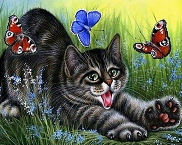 Kat rekt zich uit - Diamond Painting