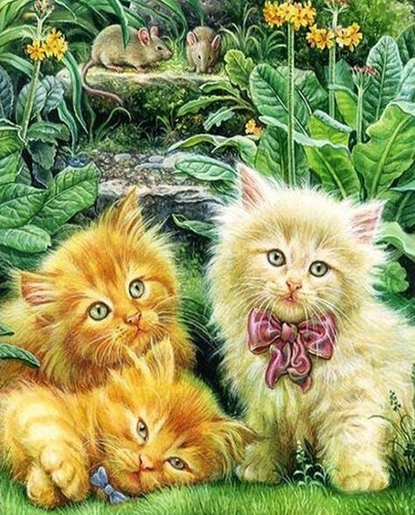 3 kittens in het gras , bloemen - Diamond Painting 