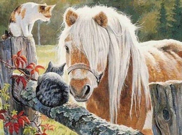 Haflinger , poezen - Diamond Painting