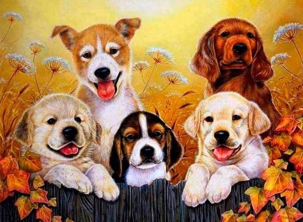 Puppy's , hekje - Diamond Painting rond