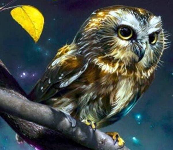 Uil op tak , maan - Diamond Painting 