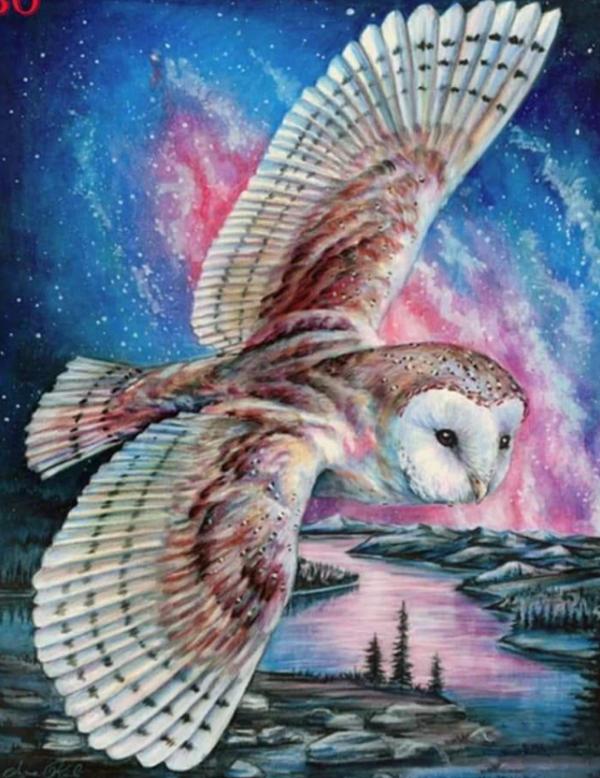 Zwevende uil , roze lucht - Diamond Painting