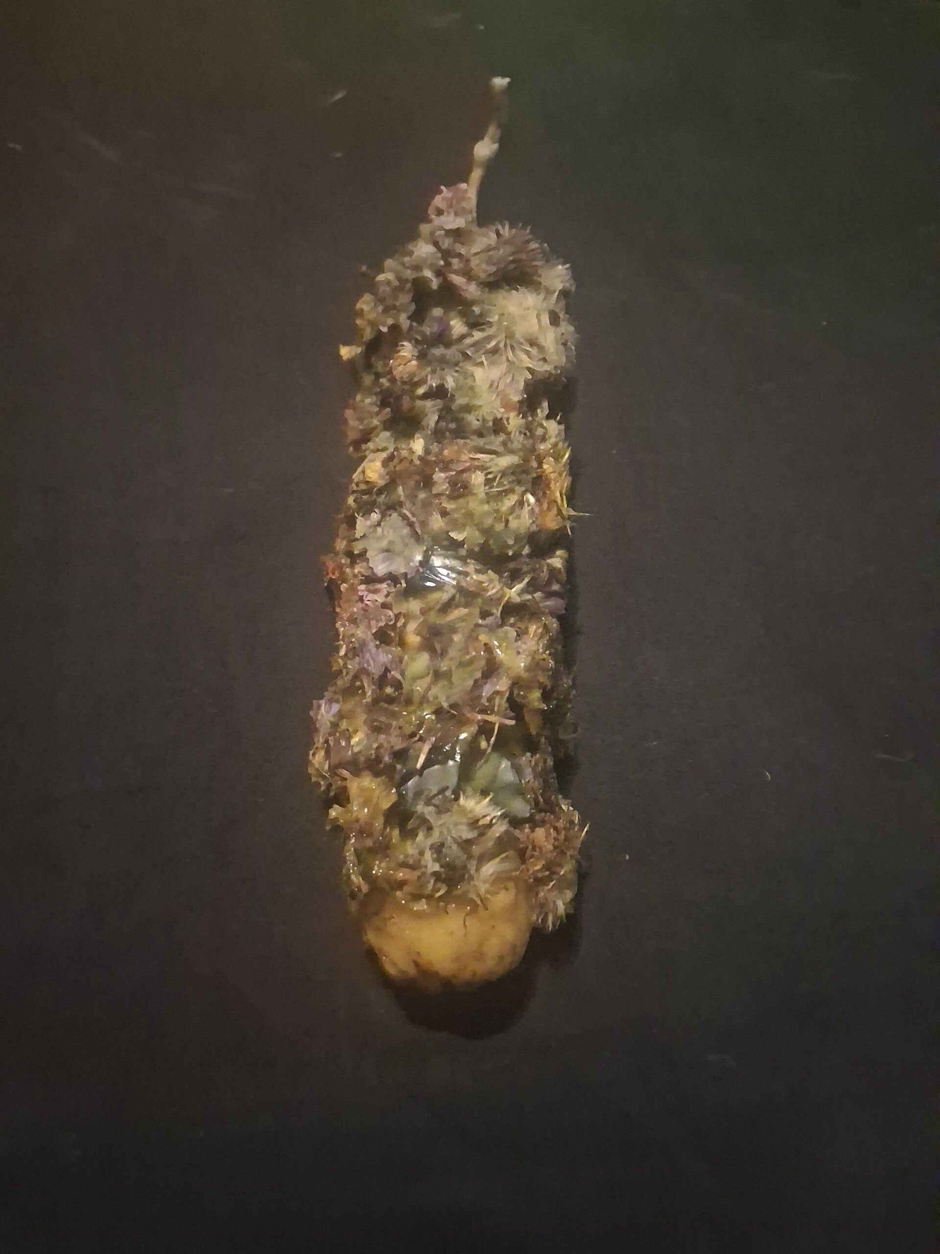 Candela del denaro Voodoo Orisha