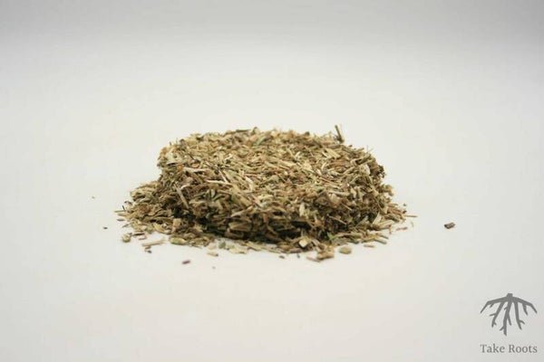 Ysop (Hyssopus officinalis)