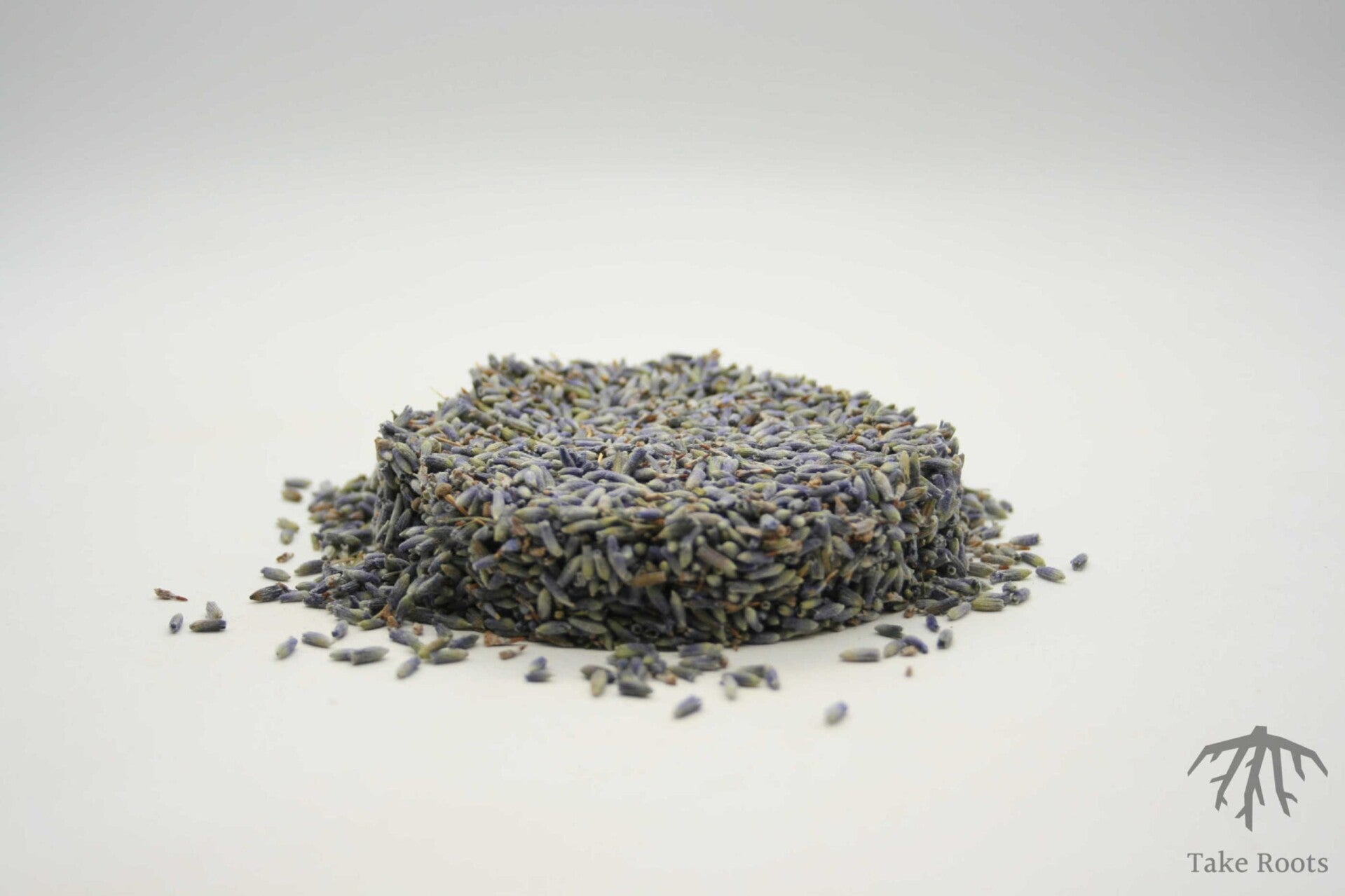 Lavendelblüten blau (Lavandula angustifolia)