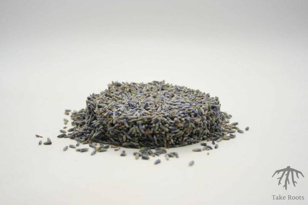 Lavendelblüten blau (Lavandula angustifolia)