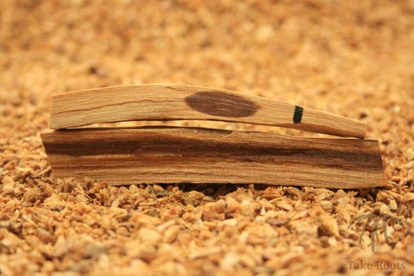 Heiliges Holz - Palo Santo-Sticks (Bursera graveolens)