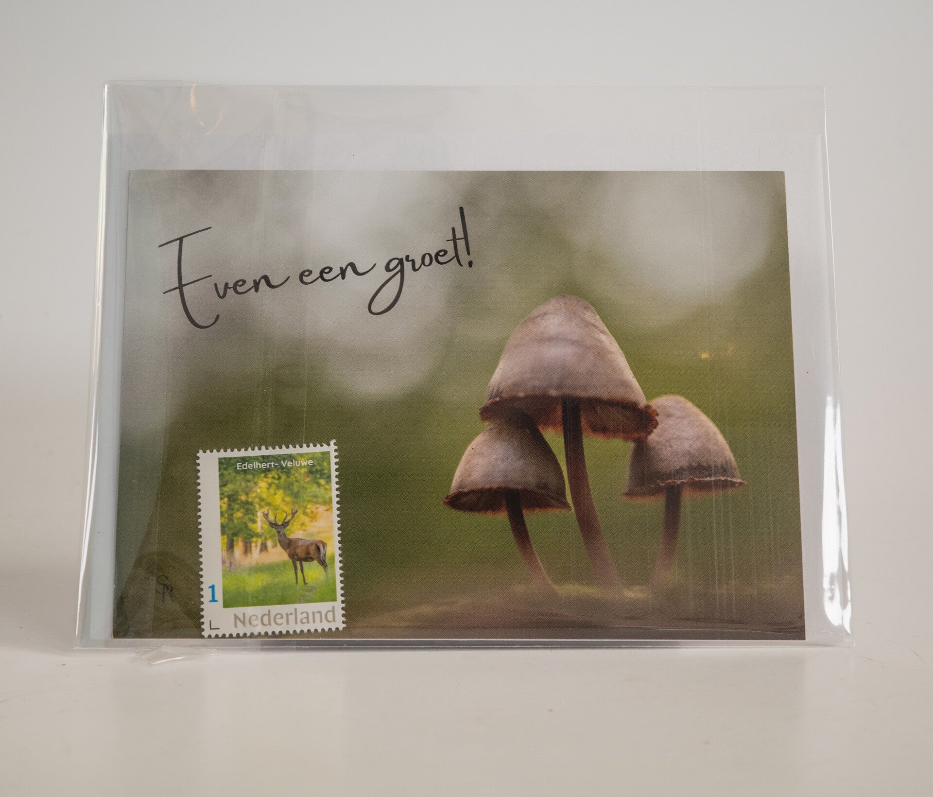 Wenskaart Herfst (Set)