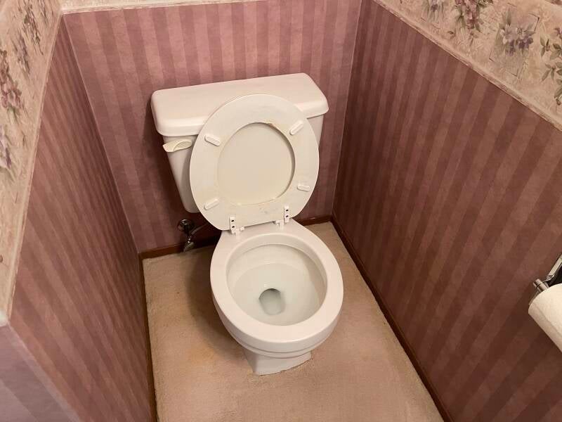 After photo of clean toilet
