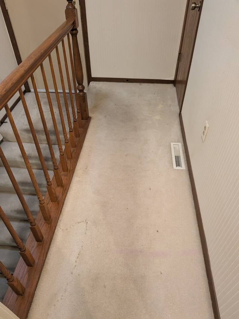 Before photo of dirty carpet