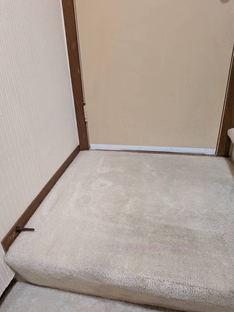 after photo of clean entryway
