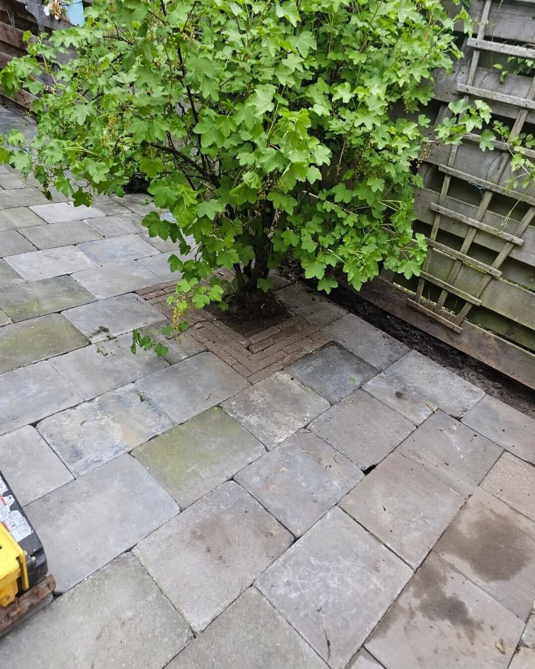Tuinonderhoud Borkov Hulp aan Huis